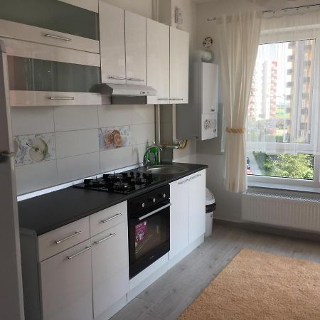 Aki Studio Appartamento Braşov Esterno foto