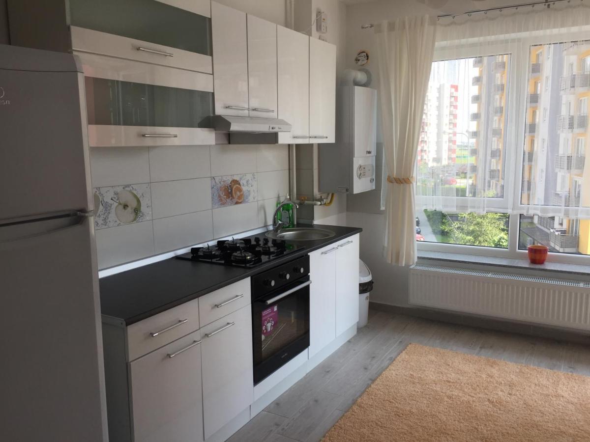 Aki Studio Appartamento Braşov Esterno foto
