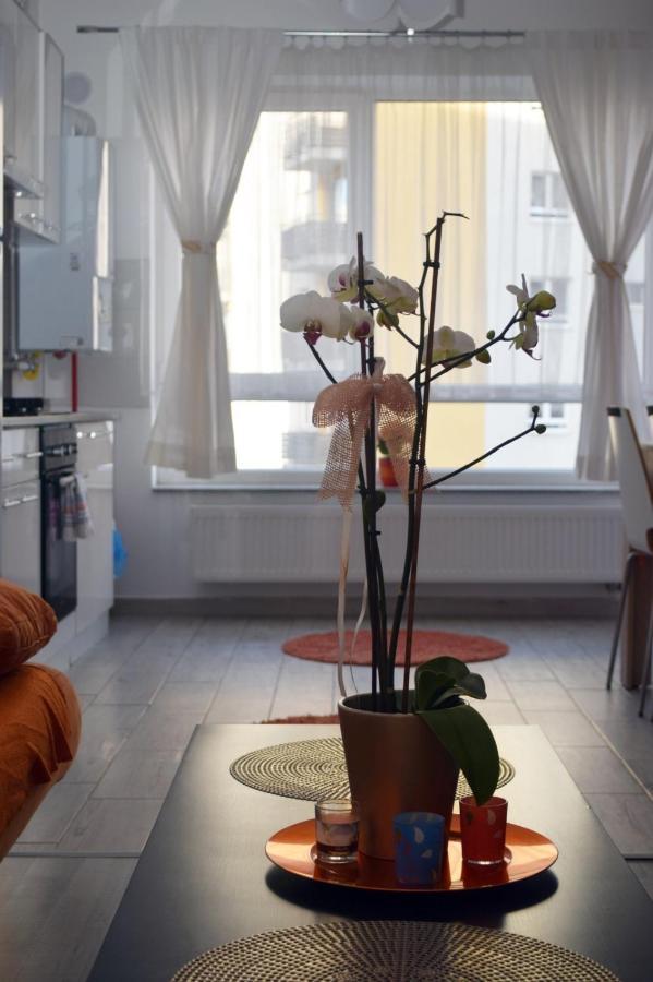 Aki Studio Appartamento Braşov Esterno foto