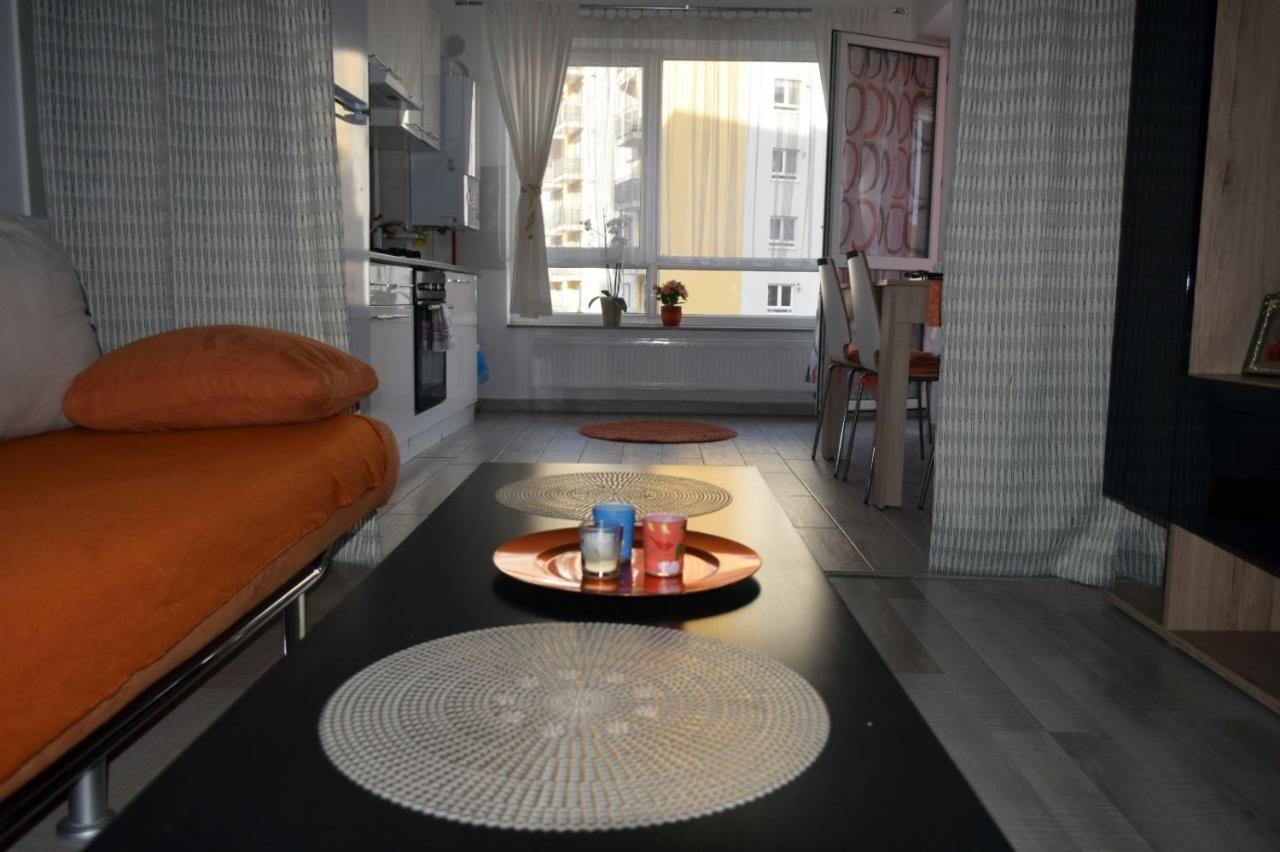 Aki Studio Appartamento Braşov Esterno foto